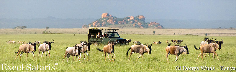 Ol Donya Wuas Africa